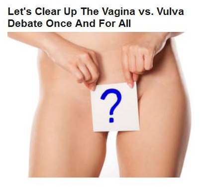 10-29-2015 FPHL 23-28 vagina vs vulva debate