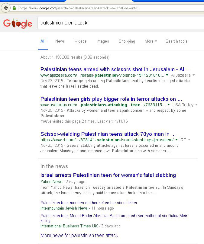 Palestinian-teen-attacks-search2
