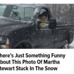 09Feb17 Martha Stewart stuck