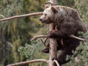 Op-Ed: Putin’s Choices Are Poor