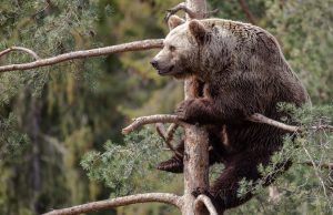 Op-Ed: Putin’s Choices Are Poor