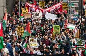 Guest Editorial: Despair from the Advanced World